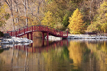 Japanese Autumn Garden Park, art , garden, tress, beautiful, park, reflection, yellow, red, bridge, autumn, water HD wallpaper