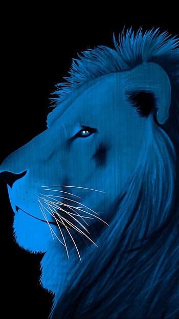 Blue Lion, Creative Art HD phone wallpaper