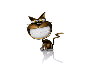 Cat, smiling HD wallpaper