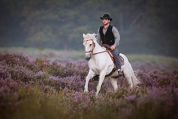 Western riding, Equitation HD wallpaper