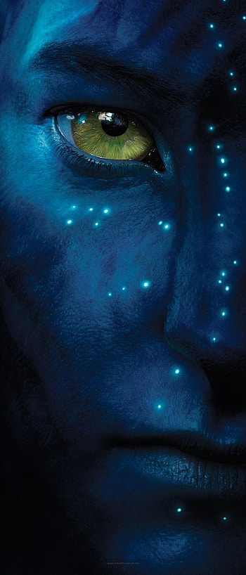 Avatar. Avatar movie, Blue avatar, Pandora avatar, James Cameron HD phone wallpaper