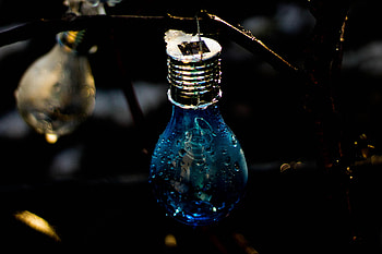 Drops, Dark, Moisture, Light Bulb HD wallpaper