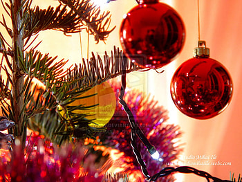 Christmas ball, de, craciun, glob HD wallpaper