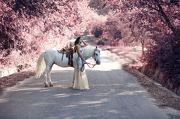 Beautiful Cowgirl Fantasy . ., style, horse, cowgirl, brunettes, outdoors, ranch, fantasy, road, women, western HD wallpaper