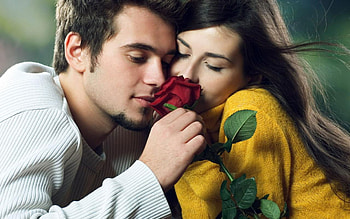 Romantic rose hug, Sweater-clad couple, Tender affection, Love in the air HD wallpaper