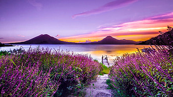Lavender Lane to the Lake Atitlan in Guatemala, purple, hills, blossoms, water, reflections, sunset HD wallpaper