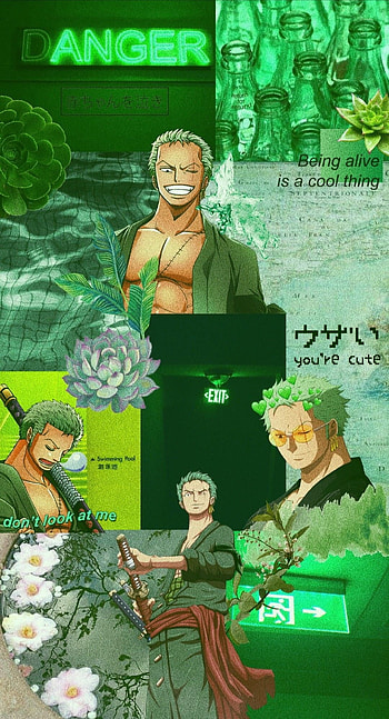 Roronoa Zoro. Manga anime one piece, One piece , One piece anime, One Piece Aesthetic HD phone wallpaper