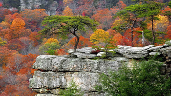 Autumn falls, Tennessee parks, Resort scenery HD wallpaper