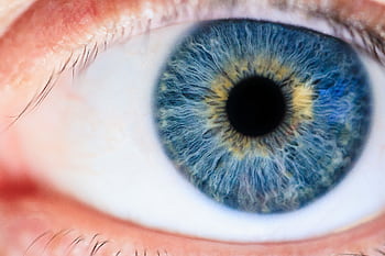 Detailed macro of a human eye showcasing the iris and pupil. HD wallpaper