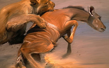 taid g shikar, wild, life, loin, deer HD wallpaper