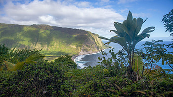 Kohala Coast, Big Island Hawaii, sea, hills, palm, clouds, trees, sky, cliff, usa HD wallpaper