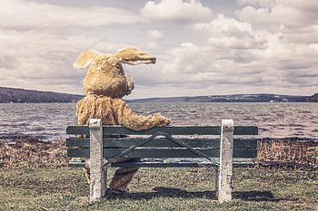 Rivers, Miscellanea, Miscellaneous, Shadow, Bench, Hare, Costume HD wallpaper