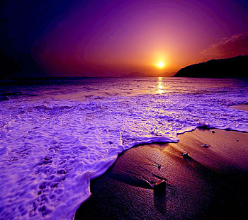 Landscape, Sunset, Sea, Beach HD wallpaper
