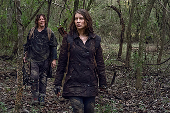 The Walking Dead - Survivors in the Wild, TV Show, The Walking Dead HD wallpaper