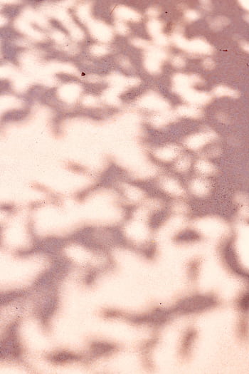 Soft shadows of leaves on a pastel pink surface, creating a natural artistic design. HD phone wallpaper