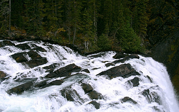 Follow the Water, water, forest HD wallpaper