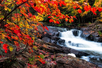 Stunning waterfall amidst vibrant autumn foliage and rocky terrain in Ontario. HD wallpaper