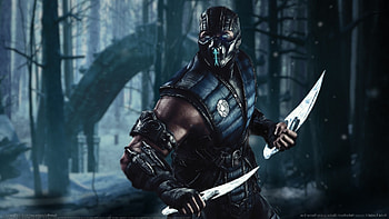 Mortal Kombat X, Mortal Kombat, Sub Zero, Video Games, Sub Zero,. Until Dawn ... HD wallpaper