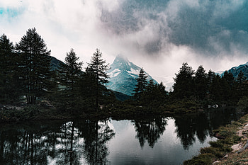 Nature, Trees, Mountains, Lake, Fog, Fir, Spruce, Snow Covered, Snowbound HD wallpaper