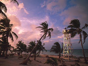 mexican beach, lighthouse, palm trees, tropical, beach HD wallpaper