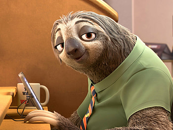 Flash, Zootopia HD wallpaper