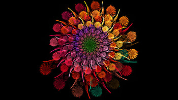 Rainbow Flower, flowers, rainbow HD wallpaper
