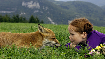 FRIENDS, trees, girl, fox, animals HD wallpaper