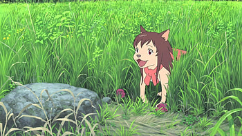 Wolf Children anime, Movie database HD wallpaper