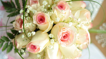 Flowers, Roses, Beautiful, Bouquet, Decoration HD wallpaper