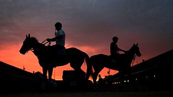 Kentucky Derby, 2013 , Iconic event, Horse racing frenzy HD wallpaper