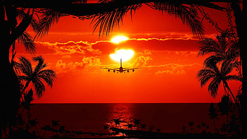 Silhouette, sun, airplane, sea, leaves, colors, trees, sky HD wallpaper