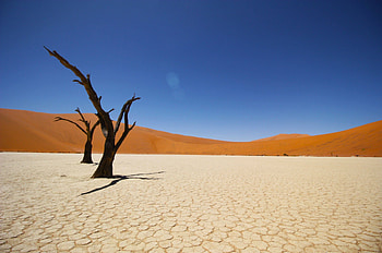desert, sand, fun, cool, nature HD wallpaper
