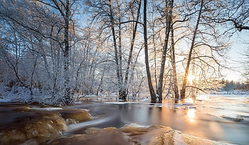 ice mounds in the river, winter, trees, river, ice HD wallpaper