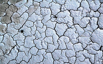 dried ground texture, , ground with cracks, natural textures, desert, drought concepts, cracked ground, ecology, dried ground HD wallpaper