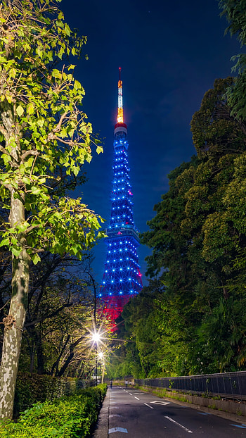 light, tower, man made, Tokyo Tower HD phone wallpaper