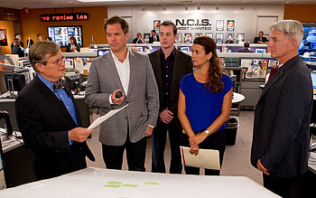 Special agents, Crime scene analysis, Team dynamics, Compelling storytelling HD wallpaper