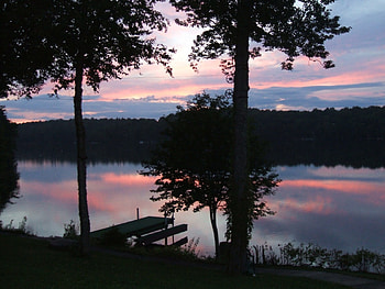 the night's treat, trees, purple, water, red HD wallpaper