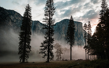 Yosemite, evening, sunset, rocks, trees, mountain landscape, Yosemite National Park, USA HD wallpaper