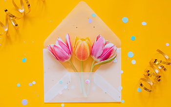 :-), white, letter, tulip, flower, yellow, card, spring HD wallpaper