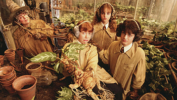 Harry Potter, Rupert Grint, Hermione Granger, Harry Potter And The Chamber Of Secrets, Daniel Radcliffe, Movie, Emma Watson, Miriam Margolyes, Pomona Sprout, Ron Weasley HD wallpaper