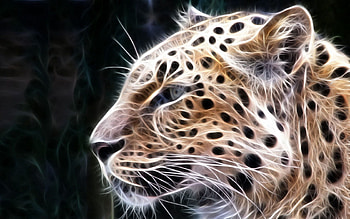 Abstract, Shine, Light, Leopard, Lines, Glow HD wallpaper