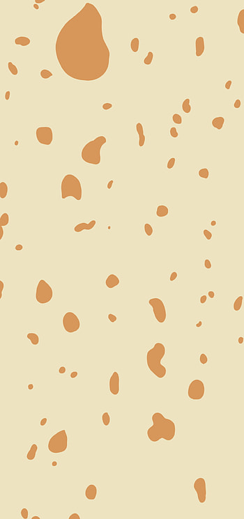 Tortilla, burrito, chips, mexican, food, taco HD phone wallpaper