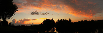 Sunset, tree, sky, orange clouds HD wallpaper
