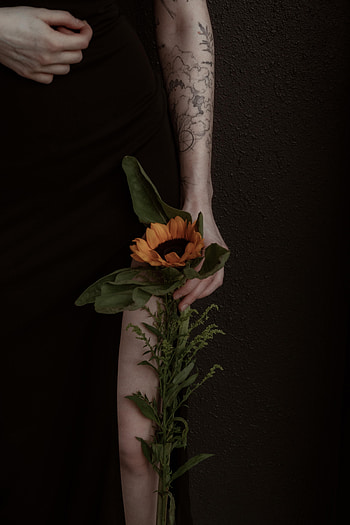 Flower, Hand, Miscellanea, Miscellaneous, Girl, Tattoo, Sunflower HD phone wallpaper