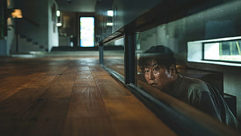 Parasite, 2019 NYFF, Electric Ghost Magazine HD wallpaper