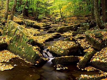 Landscape, Nature HD wallpaper