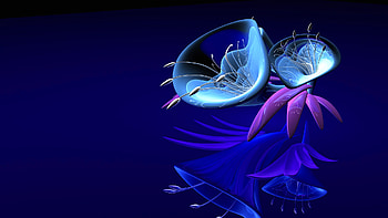 Flowers, Background HD wallpaper