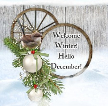 *Welcome Winter*Hello December*, winter, bird, balls, welcome, season, wooden fence, sparrow, snow, christmas, december, hello HD wallpaper