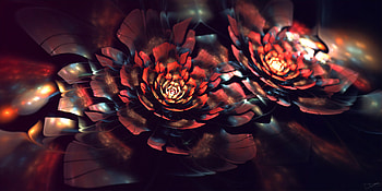 Flowers Of Elysium, flowers, artist, artwork, digital-art, deviantart HD wallpaper