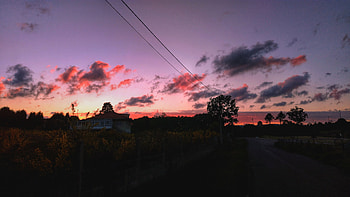 Nature, Trees, Sunset, Sky, Road HD wallpaper